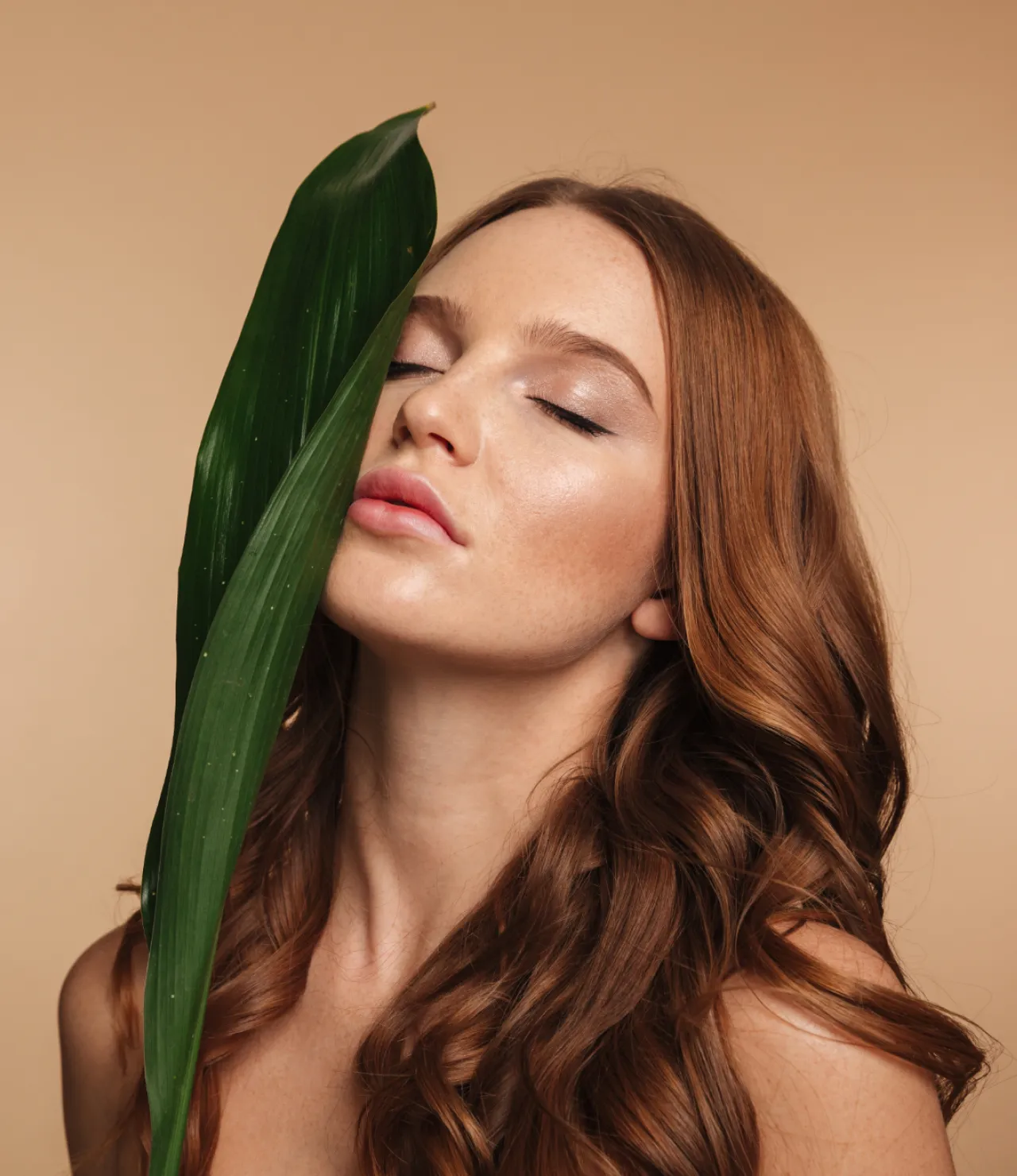 Template Image - Glamory Webflow Template